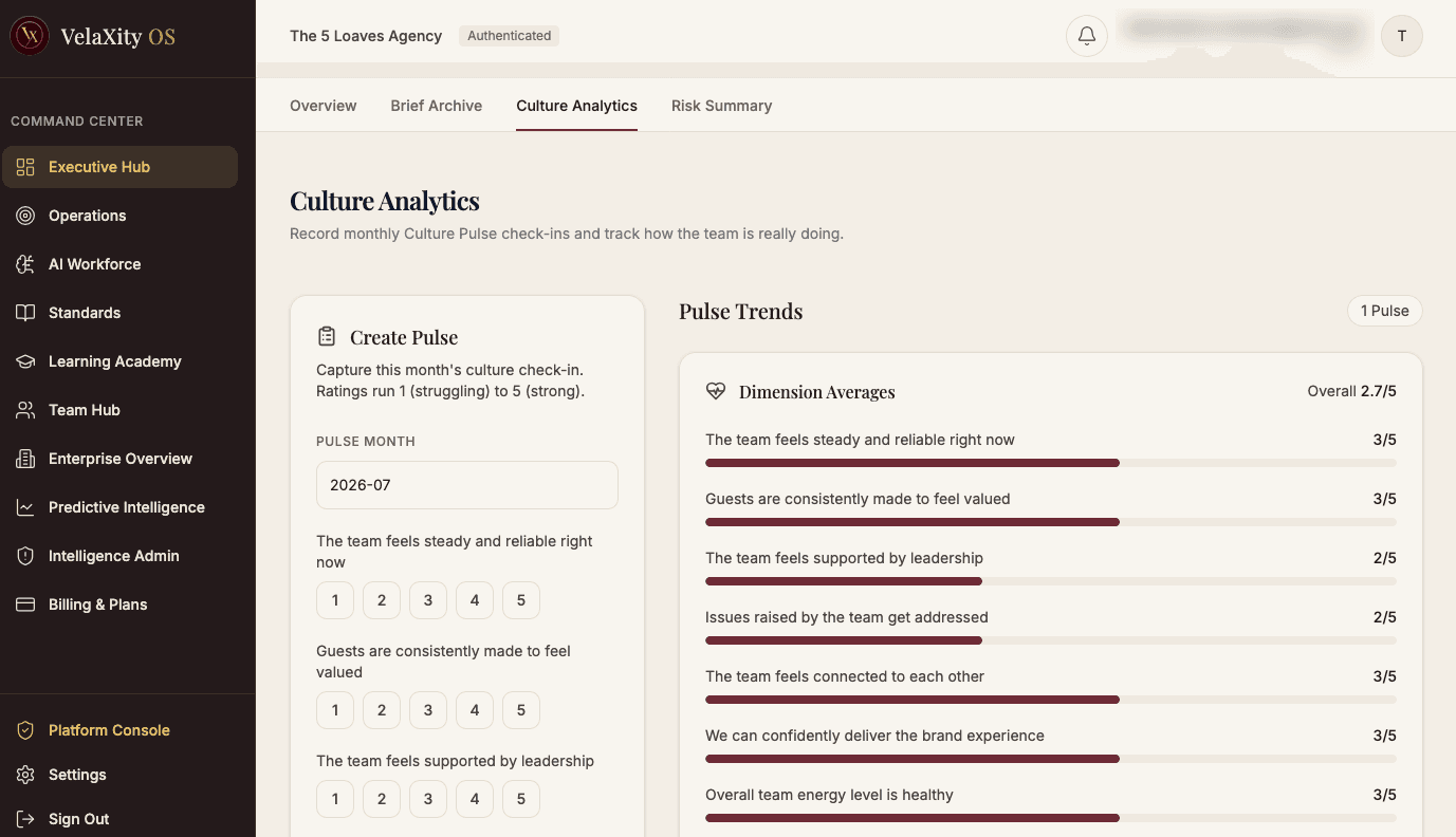 The VelaXity Executive Hub overview, showing organizational priorities and pulse.