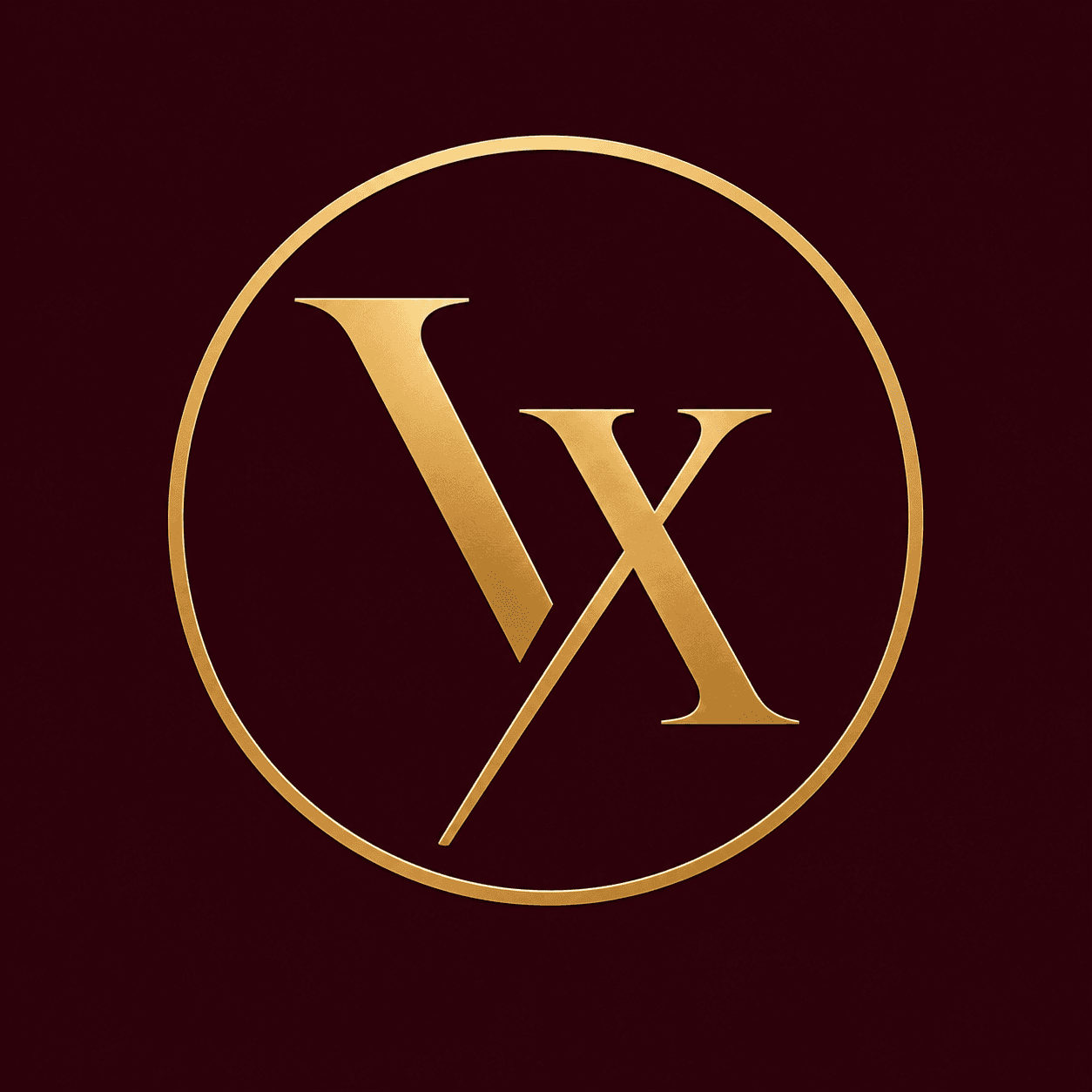 The VelaXity logo: a gold VX monogram inside a gold circle on deep burgundy.